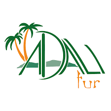 Partner 44