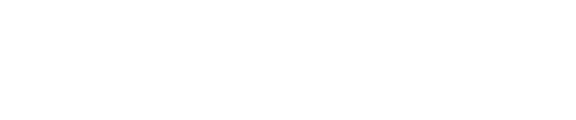 Partner 49
